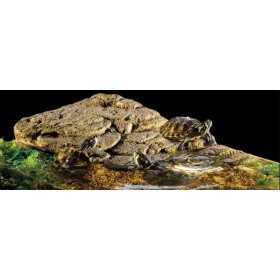 Exo Terra Island voor Schildpadden 29,8x17,8x5,4cm