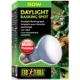 EXO TERRA Daylight 50W - Lampadina calda