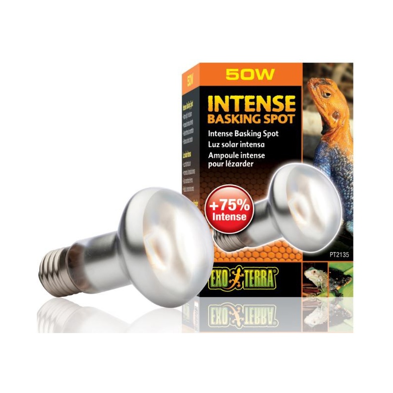 EXO TERRA Intense Basking Spot 50W Heizlampe