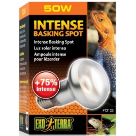 EXO TERRA Intense Basking Spot 50W