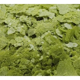 ON Spirulina Flakes 34g (pokarm w płatkach)