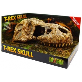 Cranio T-Rex per terrari e acquari