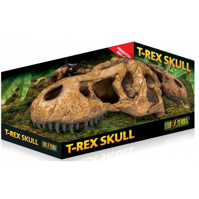 EXO TERRA T-Rex crânio para terrário