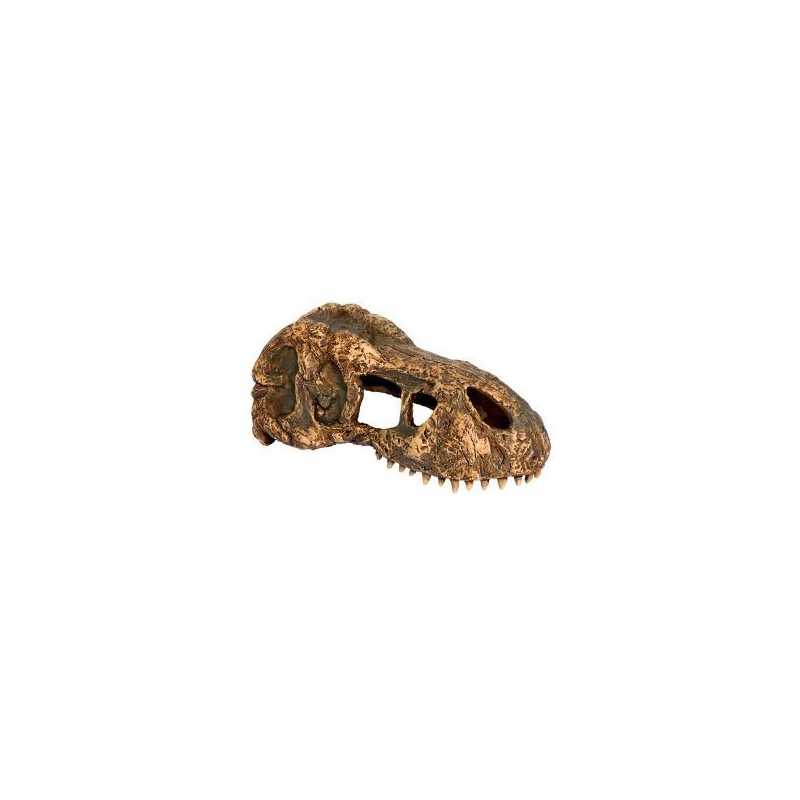 Exo Terra T-Rex skull (dinosaur skull)