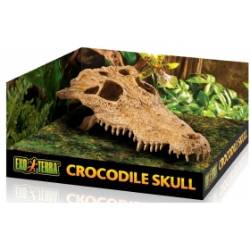 Crâne de crocodile pour terrarium EXO TERRA