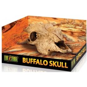 Exo Terra buffalo skull (czaszka bawoła)