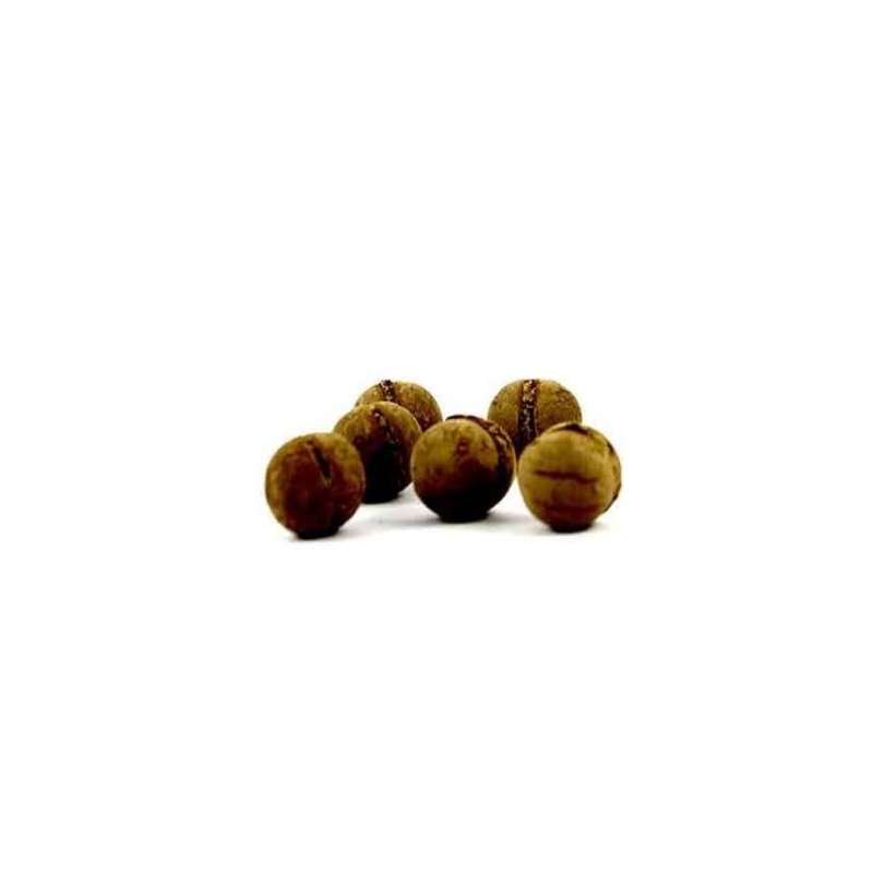 Florwix fertiliser for aquatic plants 5 balls