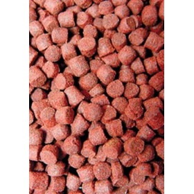 Ocean Nutrition Formula One Pellets 100g (pelleted food)