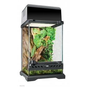 Exo Terra Terrarium szklane Nano Tall 20x20x30 cm