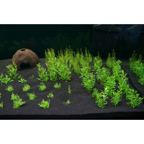 H.E.L.P Advanced Soil Pflanzen 3l - professionelles Aquariensubstrat