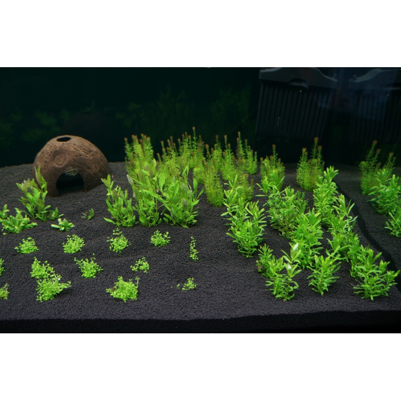 H.E.L.P Advanced Soil Pflanzen 3l - professionelles Aquariensubstrat