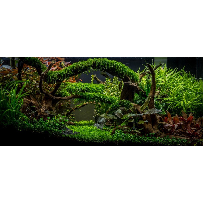 H.E.L.P Advanced Soil Pflanzen 3l - professionelles Aquariensubstrat