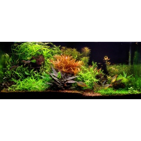 Seachem Flourite 7kg substraat voor aquaria