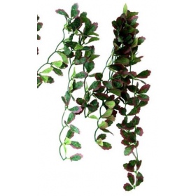 Repti-Zoo hanging plant ivy red 40cm