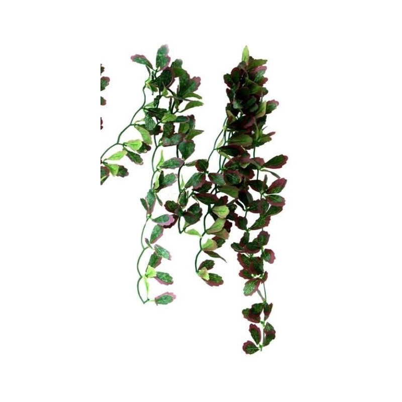 Repti-Zoo hanging plant ivy red 40cm