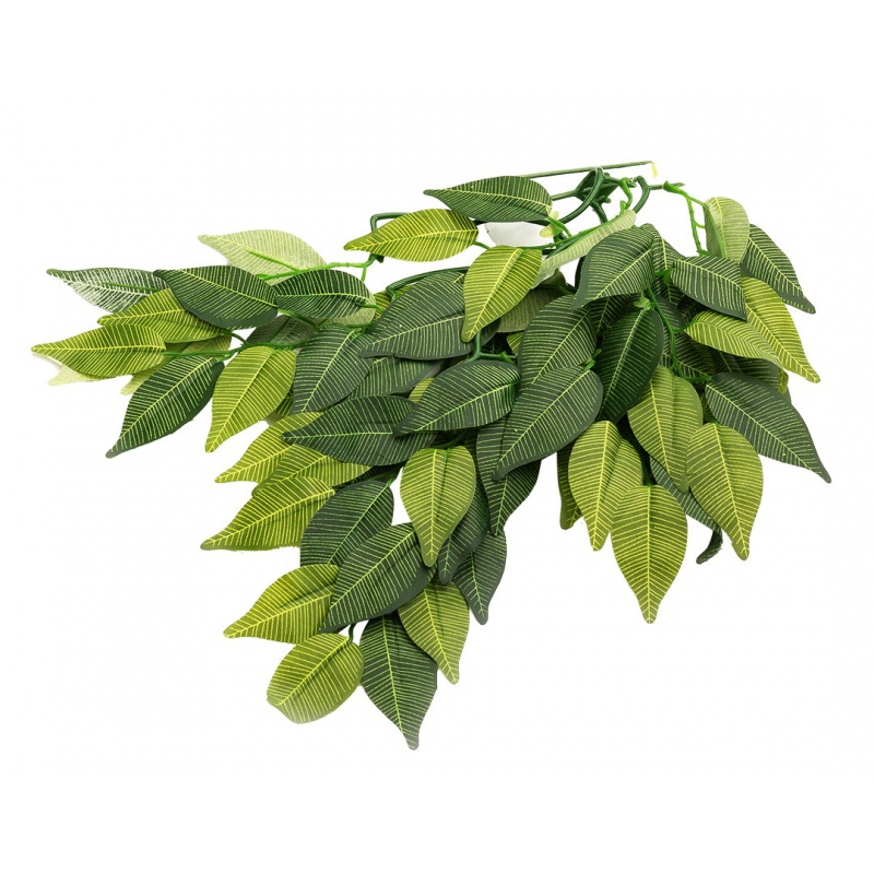 Repti-Zoo Hangplant Ficus 40cm