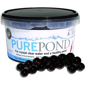 Evolution Aqua Pure Pond 500ml