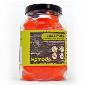 Komodo Jelly Pot Sabor Morango