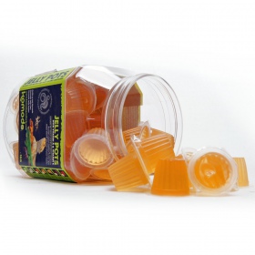 Komodo Jelly Pot Honey - geeli