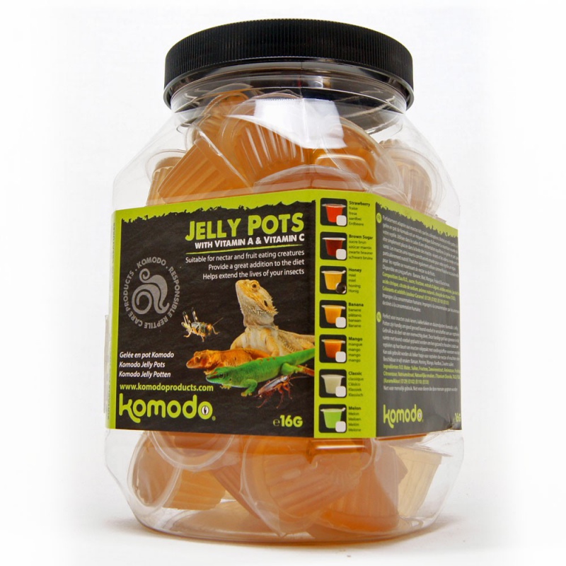 Komodo Jelly Pot Honey em gel para répteis