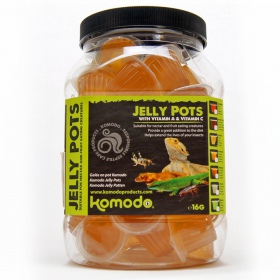 Komodo Jelly Pot Honey em gel para répteis