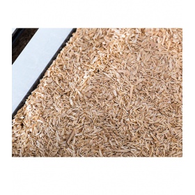 Repti-Zoo Aspen Snake Bedding 500 g - Naturmaterial