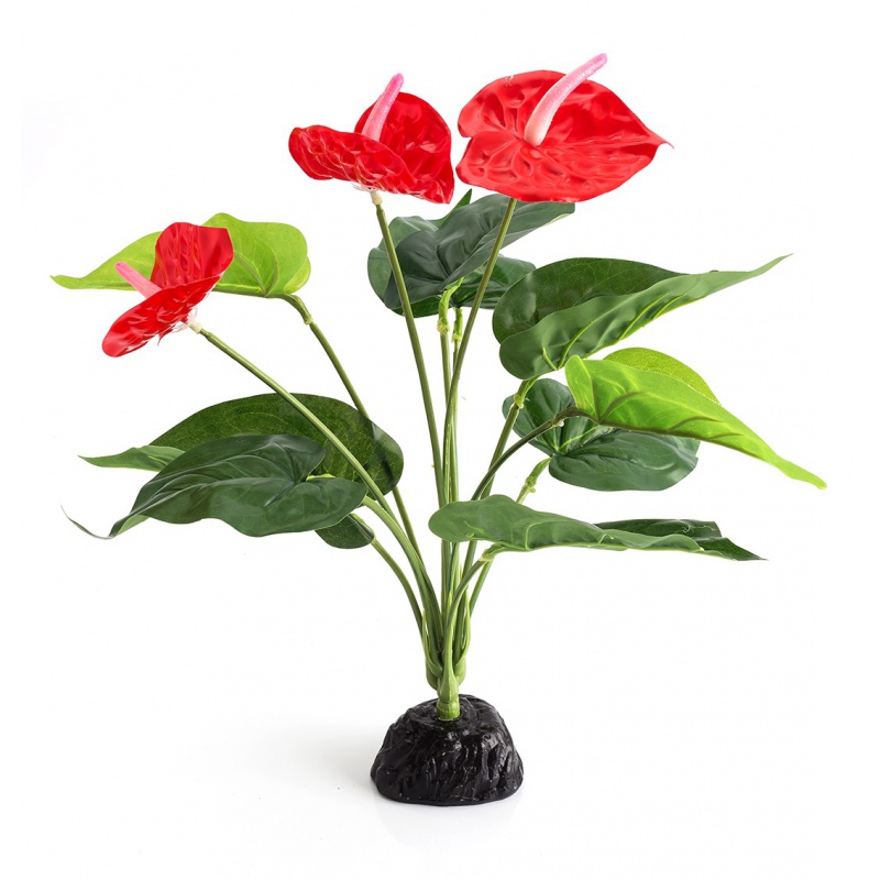 Umělá rostlina Anthurium od Repti-Zoo