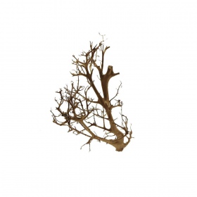 Decoratieve wortel Drift Wood