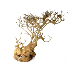 Decoratieve wortel Drift Wood