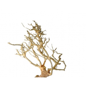 Decoratieve wortel Drift Wood