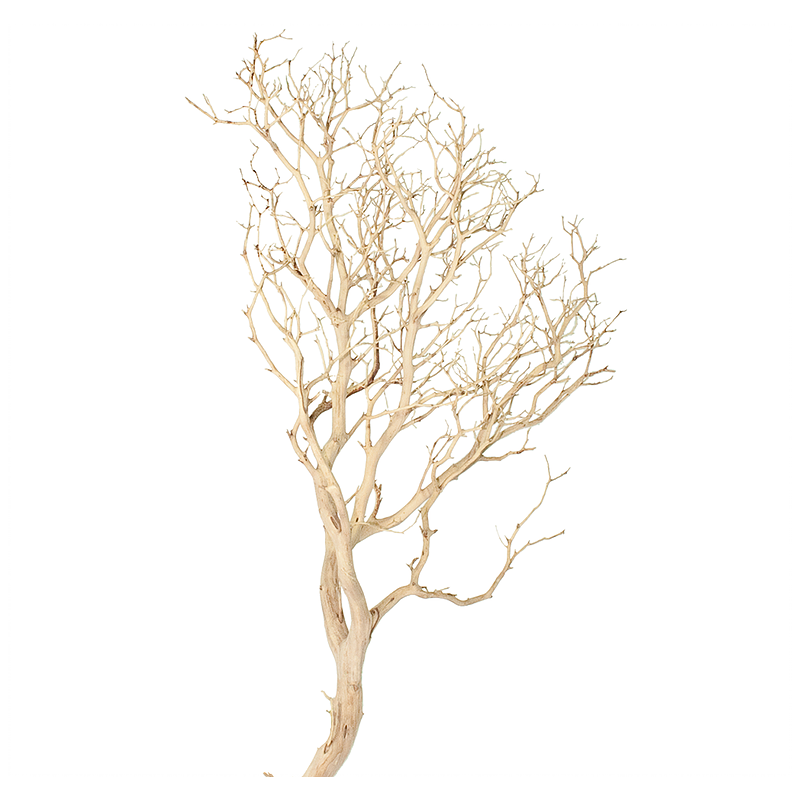 Decoratieve wortel Drift Wood