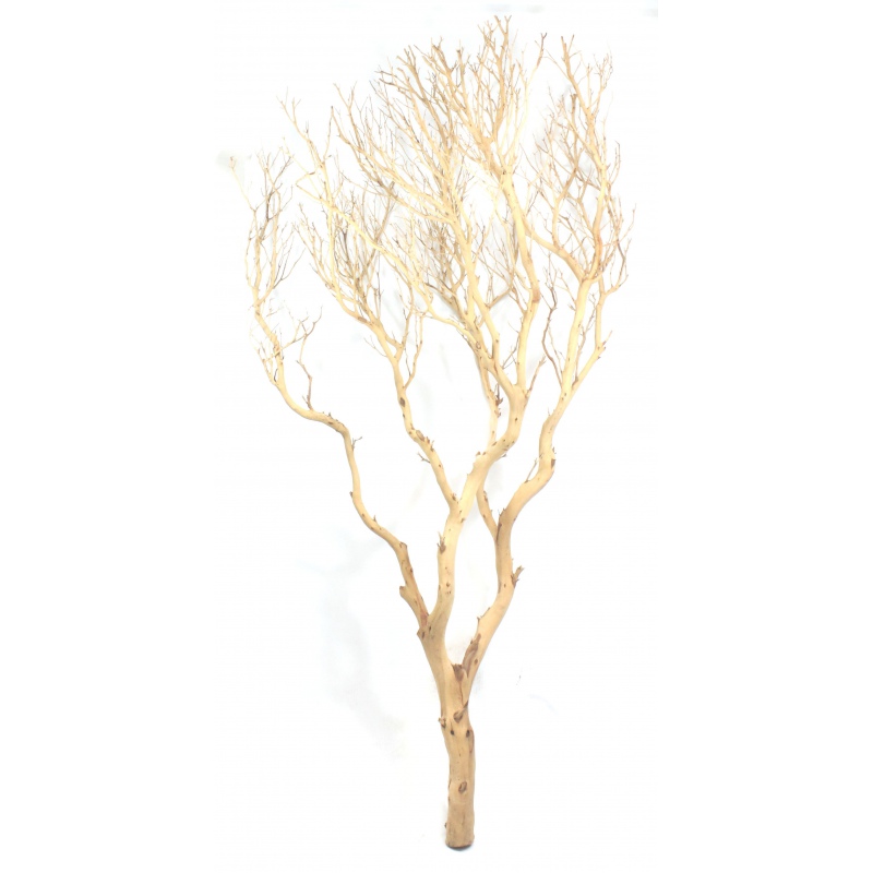 Decoratieve wortel Drift Wood