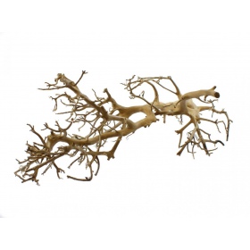 Decoratieve wortel Drift Wood