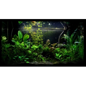 Aqua-art Aqua Substrate PRO 6 L - schwarz für Aquarien