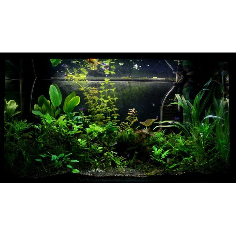 Aqua-art Aqua Substrate PRO 6 L - fekete aljzat