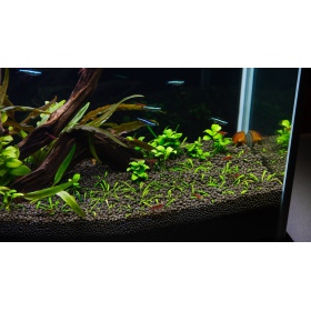 Aqua-art Aqua Substrate PRO 6 L - fekete aljzat