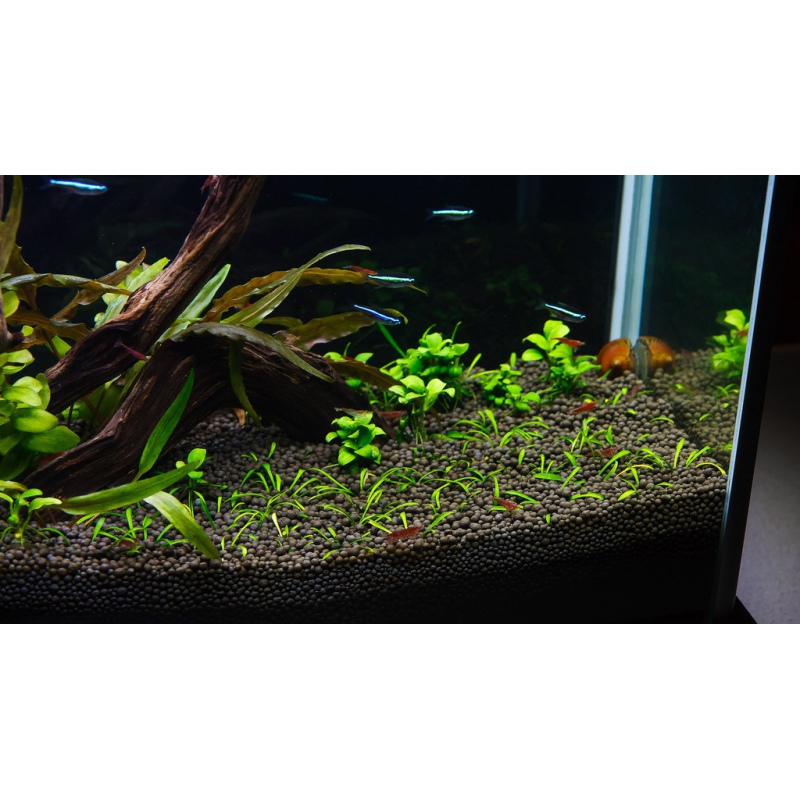 Aqua-art Aqua Substrate PRO 6 L - schwarz für Aquarien