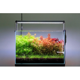 NEO Soil Shrimp 3l para acuarios