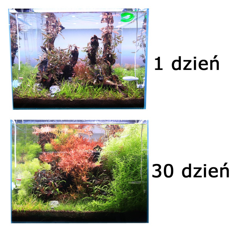 NEO Soil Shrimp 3l - ideaalne substraat