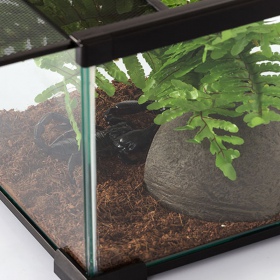 Repti-Zoo Terrarium AK 21x21x15