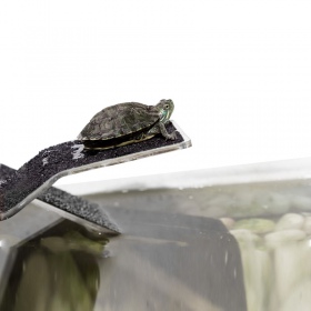 Rampe et Île pour Tortues Repti-Zoo S