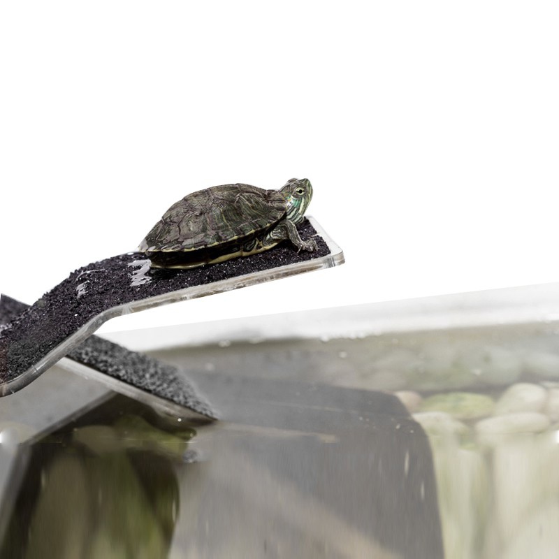 Rampe et Île pour Tortues Repti-Zoo S