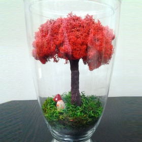 Secret Live Moss Blood Red - 5g