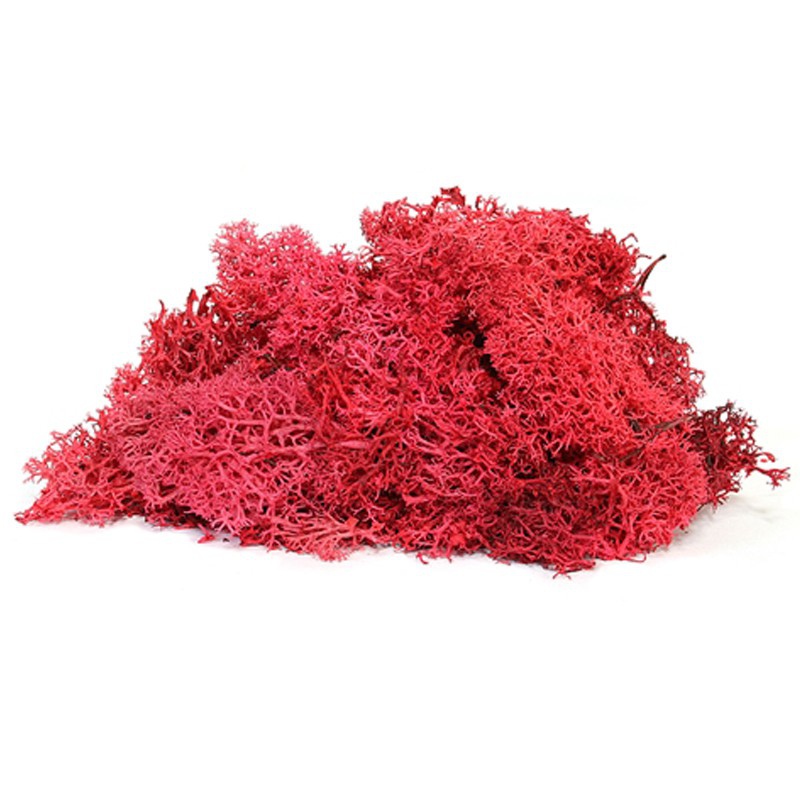 Secret Live Moss Blood Red - 5g