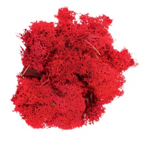 Secret Live Moss Blood Red - 5g