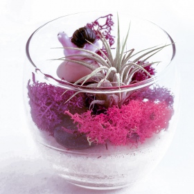 Secret Live Moss Lavanda Violeta - 5g