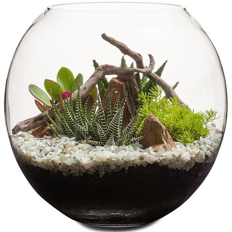 Aquabotanique Biogrund 6,2 l - ideales Substrat für Aquarien