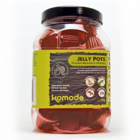 Komodo Jelly Pot Hnedý Cukor