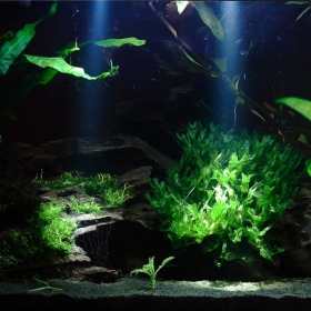 Jebao EL1 waterdichte LED puntlamp