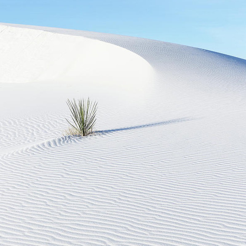 Vit Fin Sand 2 kg - Akvarie och Trädgård